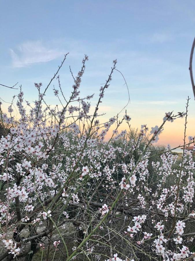 Piccola California Bed & Breakfast Múggia Екстериор снимка